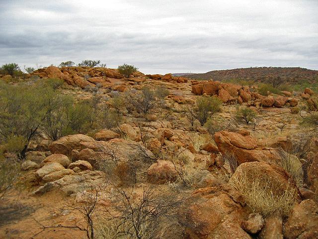 A 264 Alice Springs - Parc de la Station telegraphique.jpg